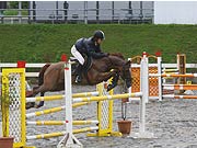 障害、馬場、競走馬術が習得可能