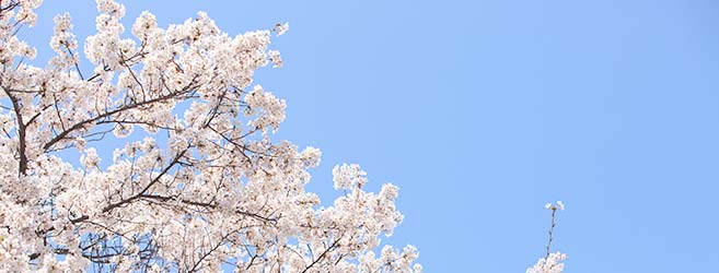 通信制高校の入学から卒業までの流れ