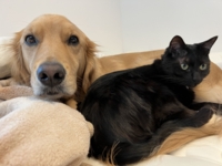 動物に関する知識を学べます!