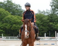 乗馬のスクーリングがあります。
