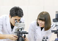 医学や福祉のコースも充実