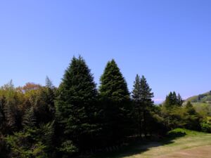 学校法人信州長野学園 ステップ高等学校
