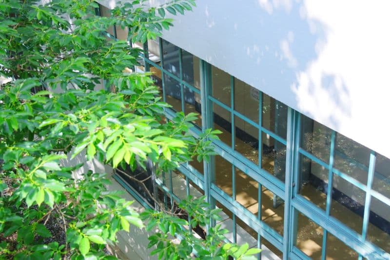 「9月がつらい」子どもたち― 親が知っておきたい学校以外の居...