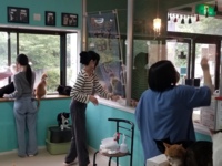 たくさんの外部ボランティア活動
