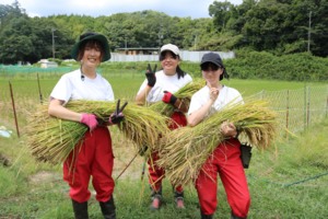 専修学校 猪名川甲英高等学院